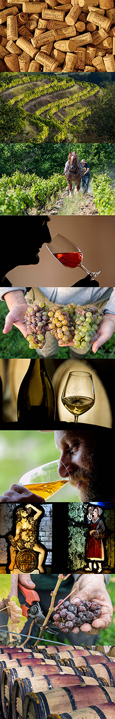 Vin de Loire