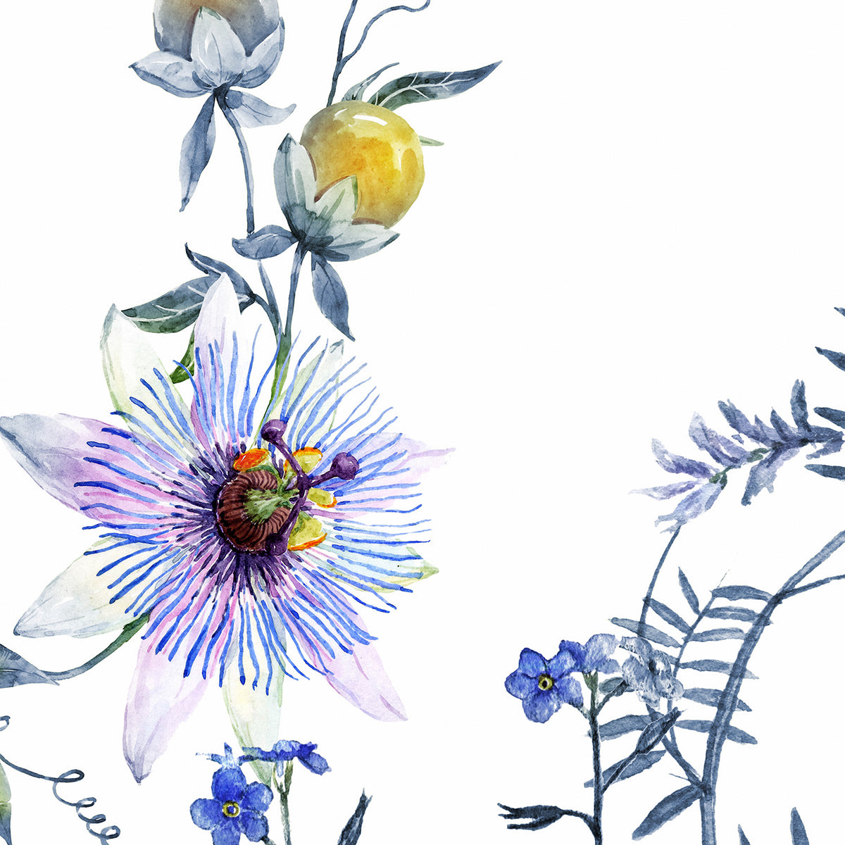 Volubilis Blue panoramic wallpaper