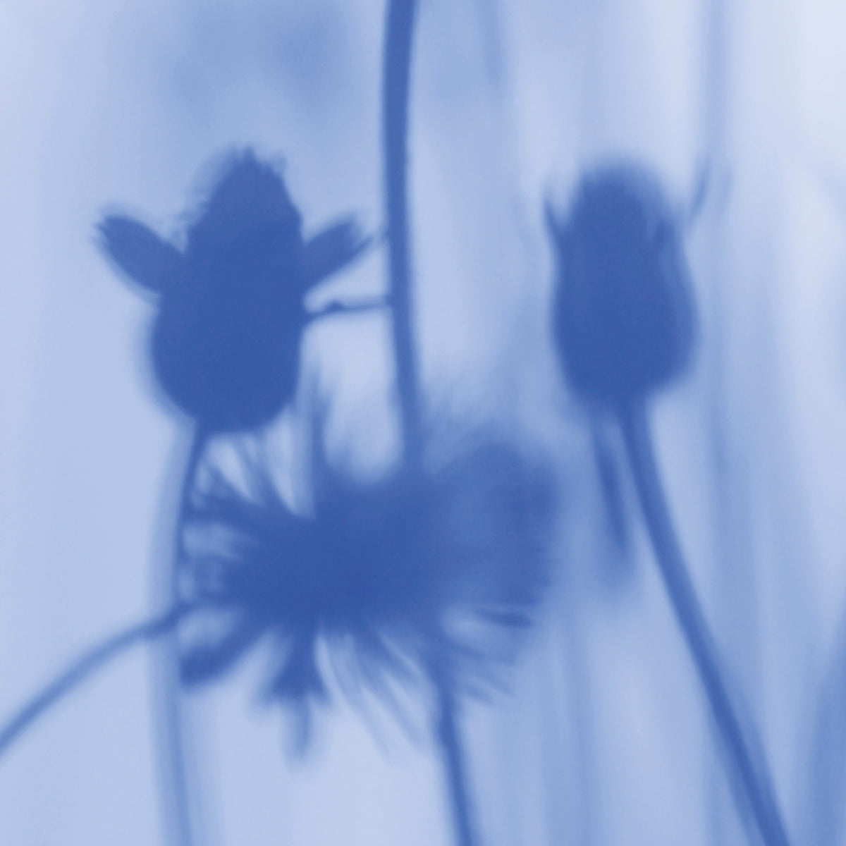 PDNTDL24-040 zoom_49
