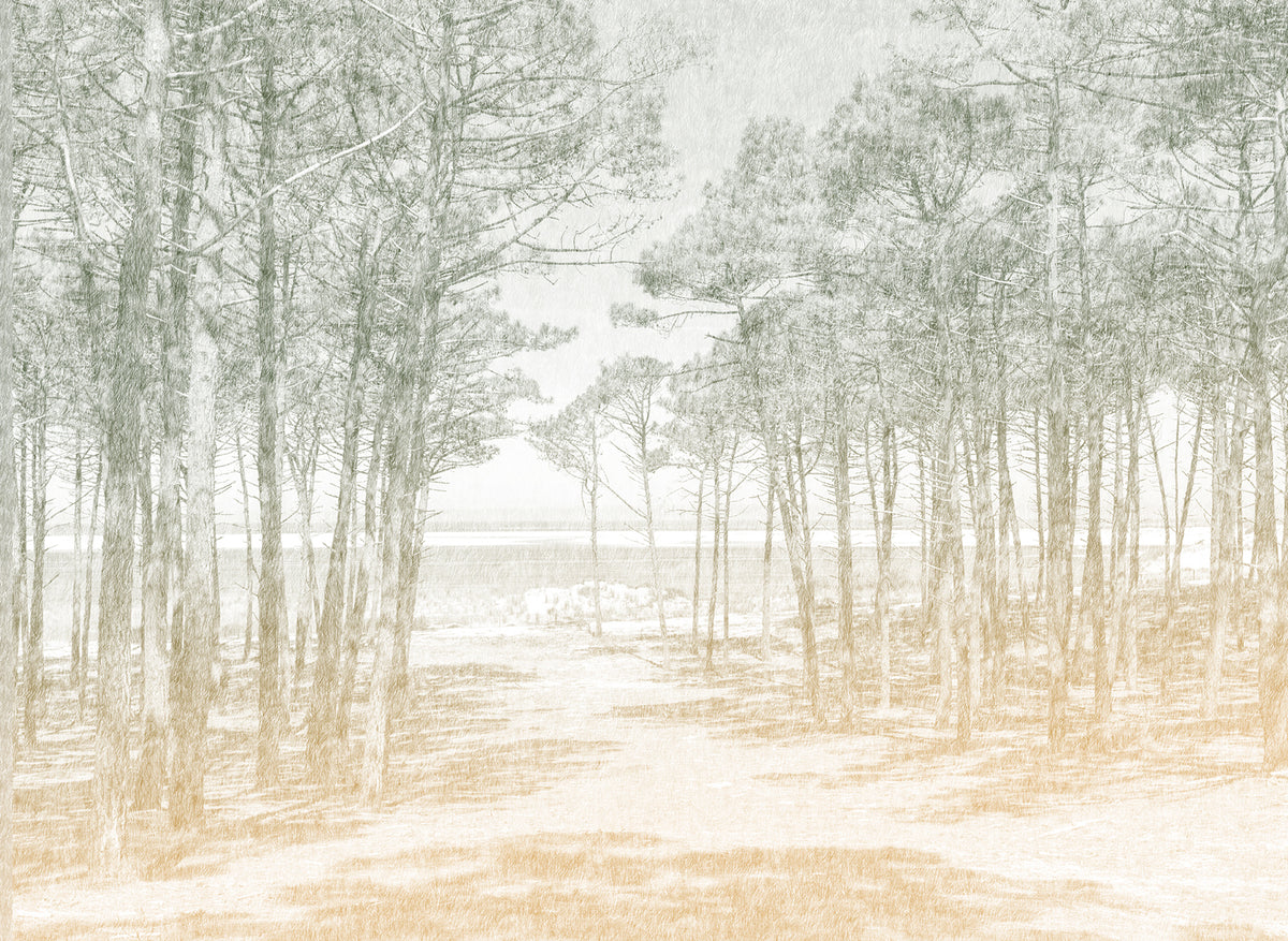 Papier peint panoramique Les Pins