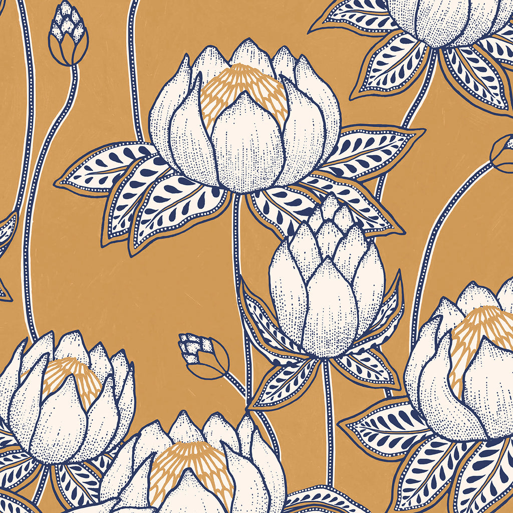 Protea #43 zoom_49