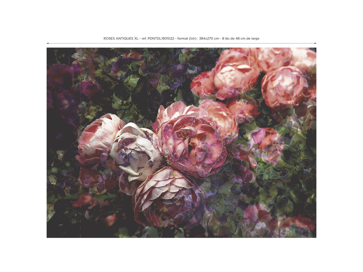 Panoramic wallpaper Antique Roses