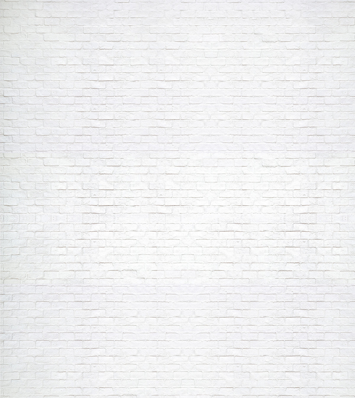 Papier peint panoramique The Wall