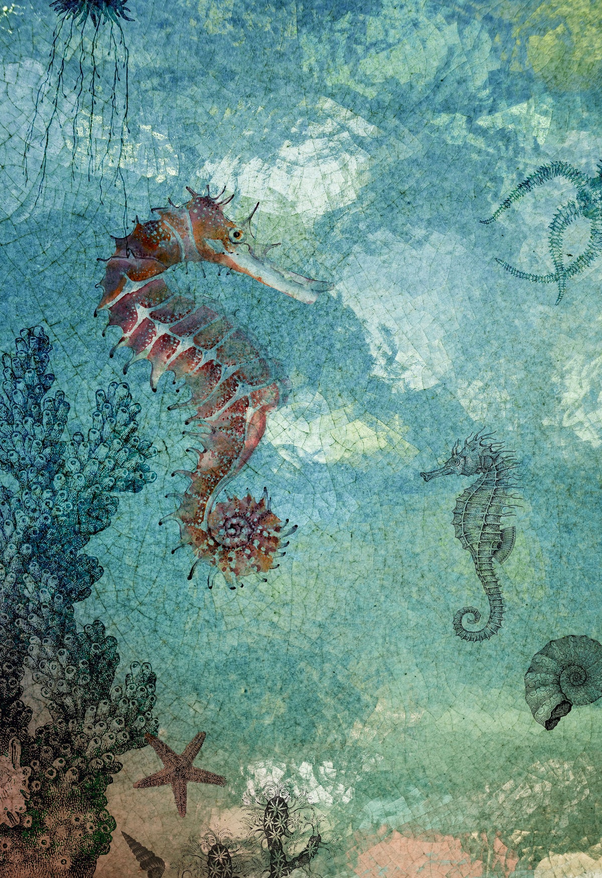 Seahorse panoramic wallpaper