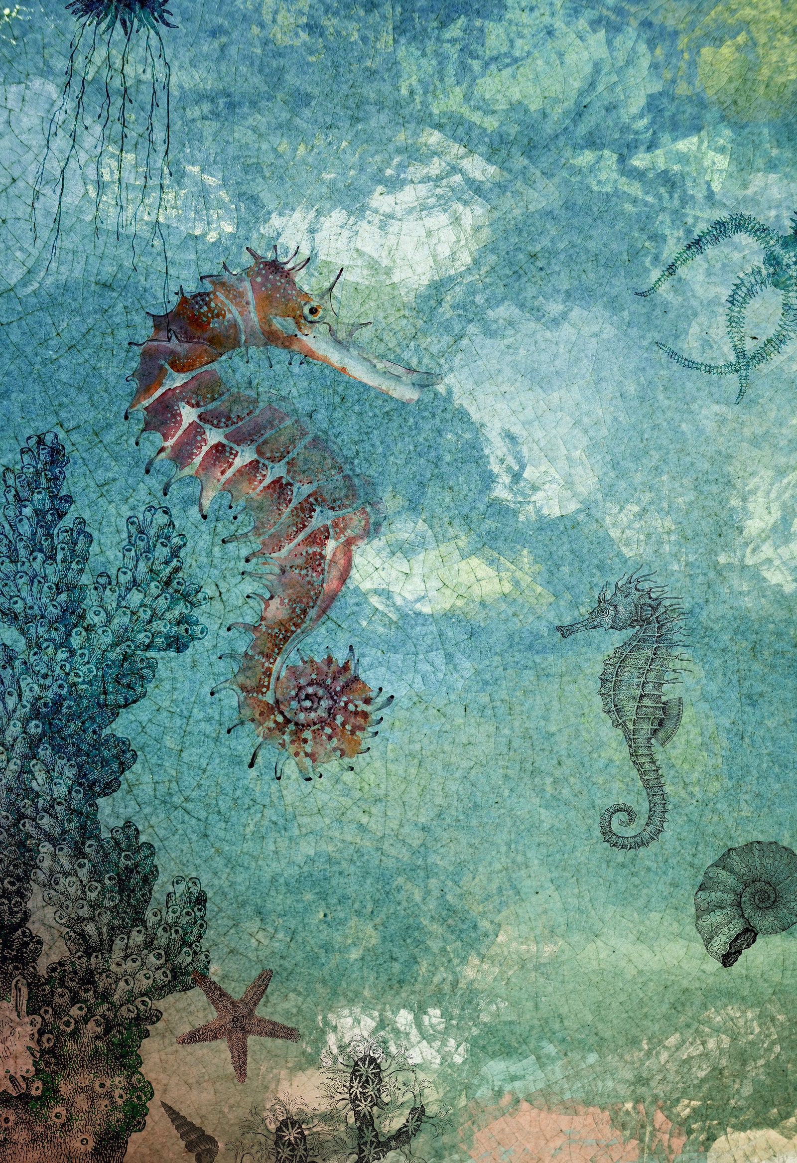 Papier peint panoramique Seahorse