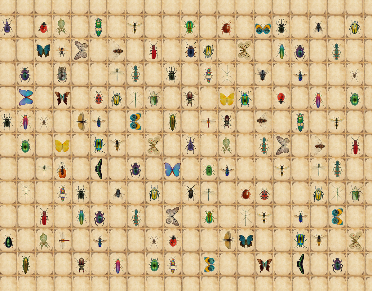 Insectarium Panoramic Wallpaper