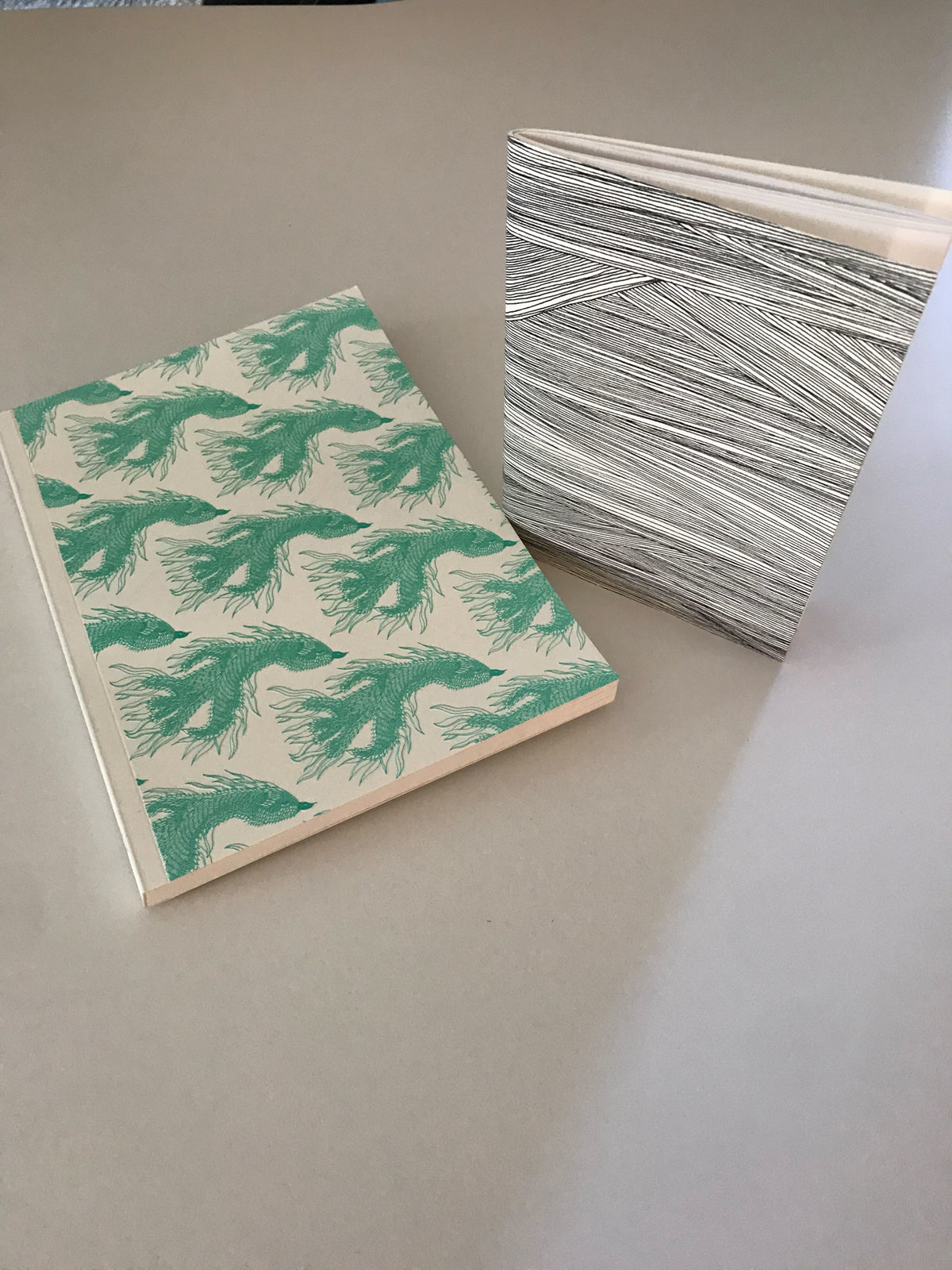 Carnet A5 + carnet A6