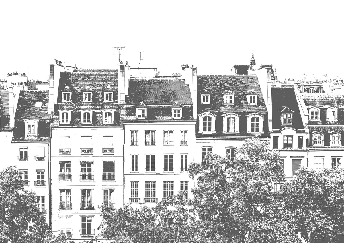 Papier peint panoramique Grands Boulevards