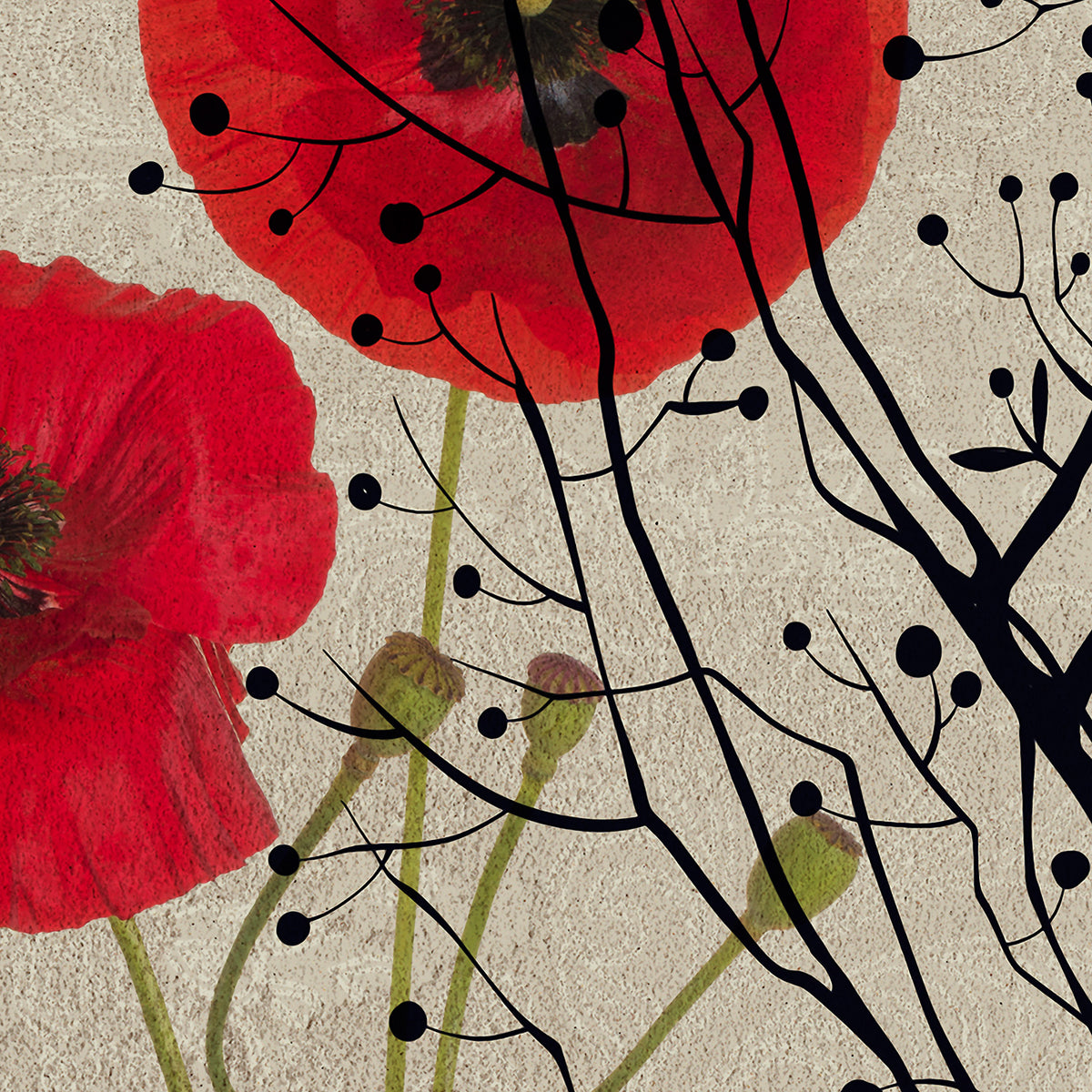 Papier peint panoramique Poppies