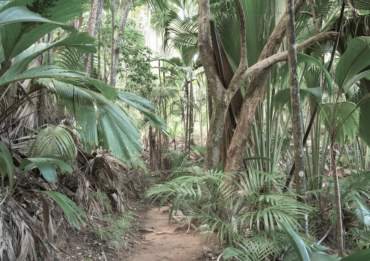 Papier peint panoramique Jungle Trek