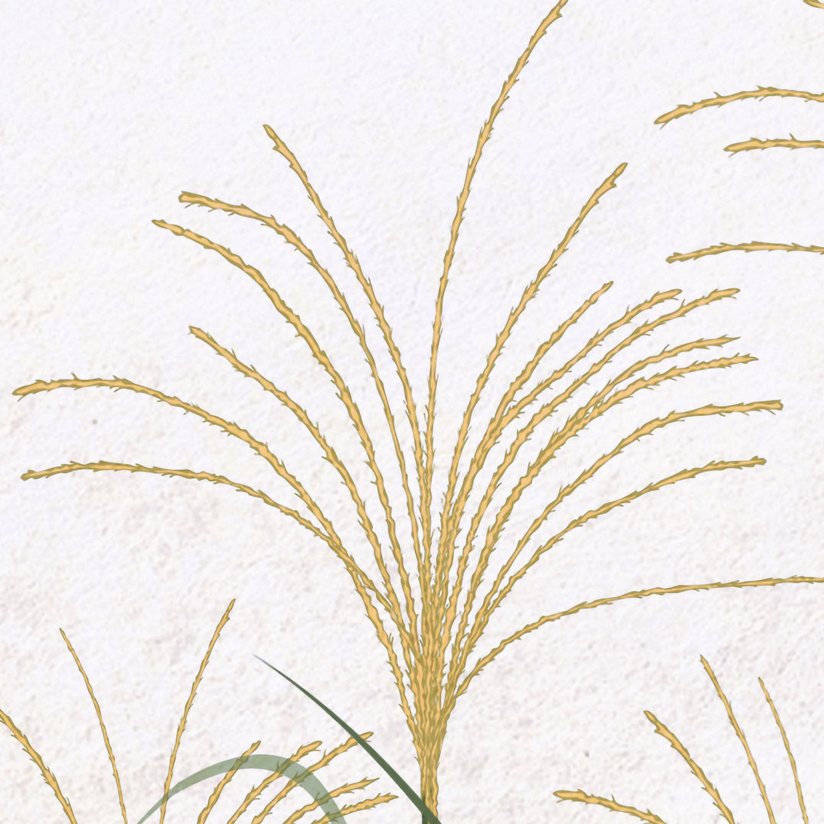 Papier peint panoramique Papyrus
