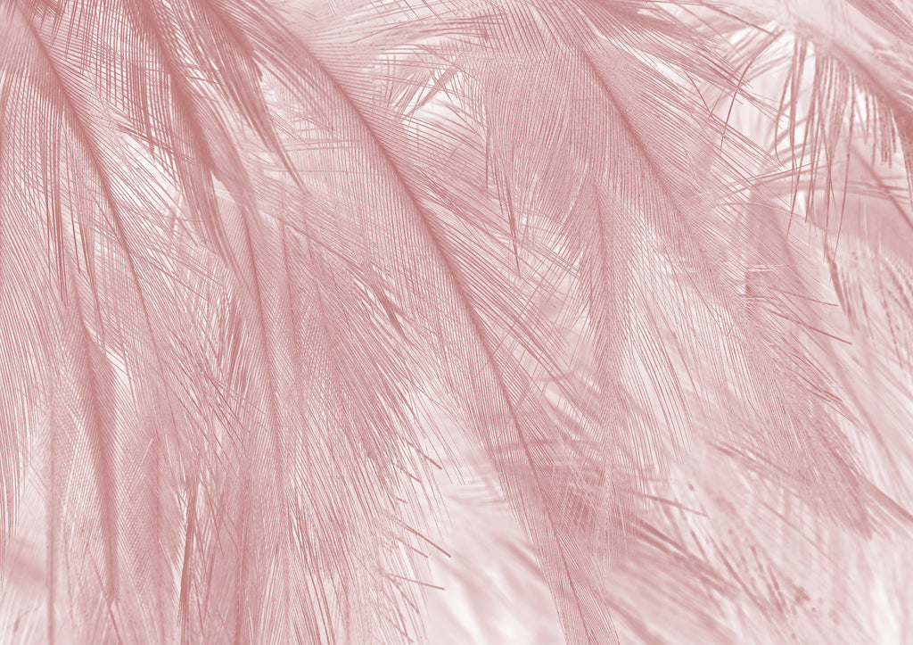 Papier peint panoramique Soft