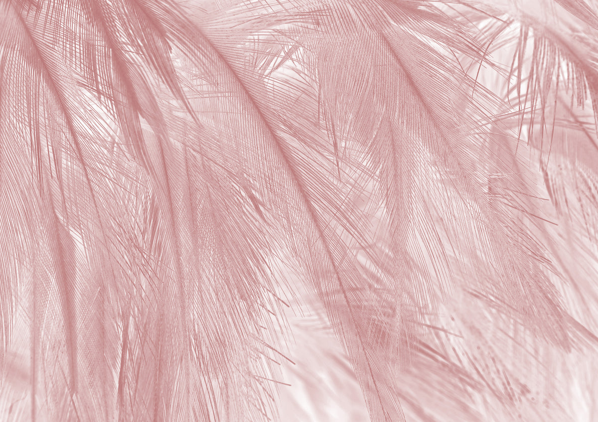 Papier peint panoramique Soft