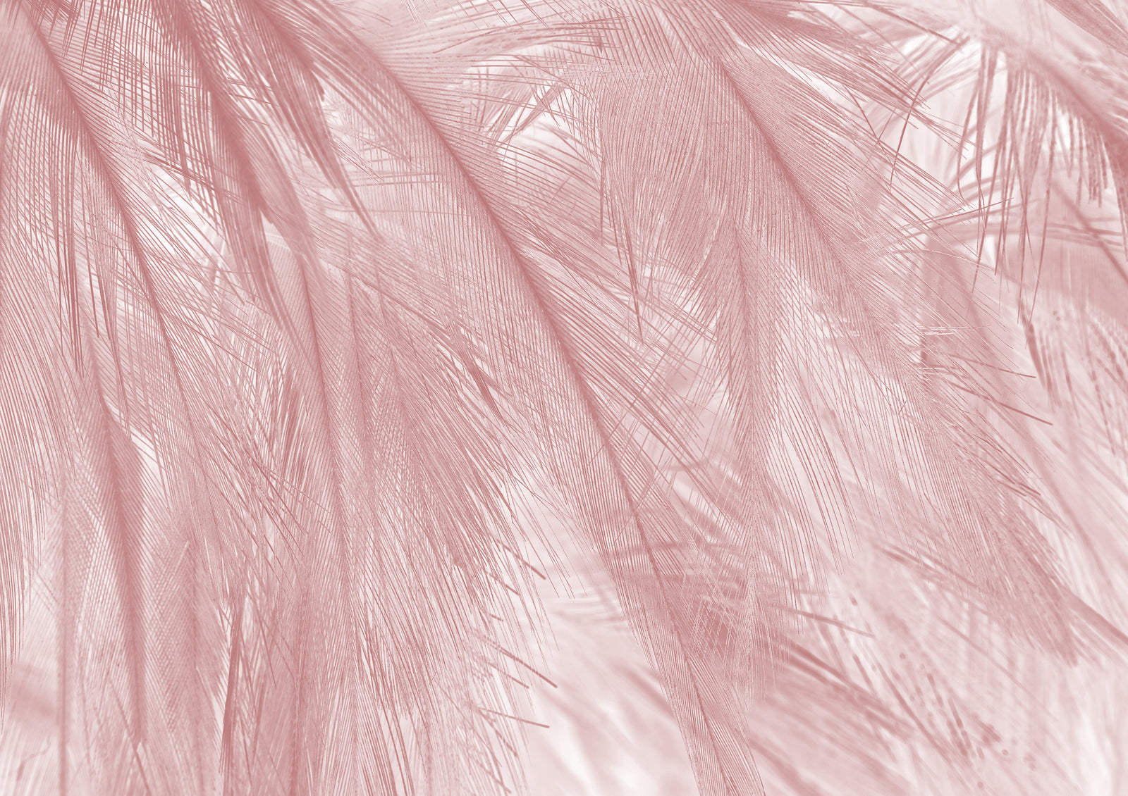 Soft panoramic wallpaper