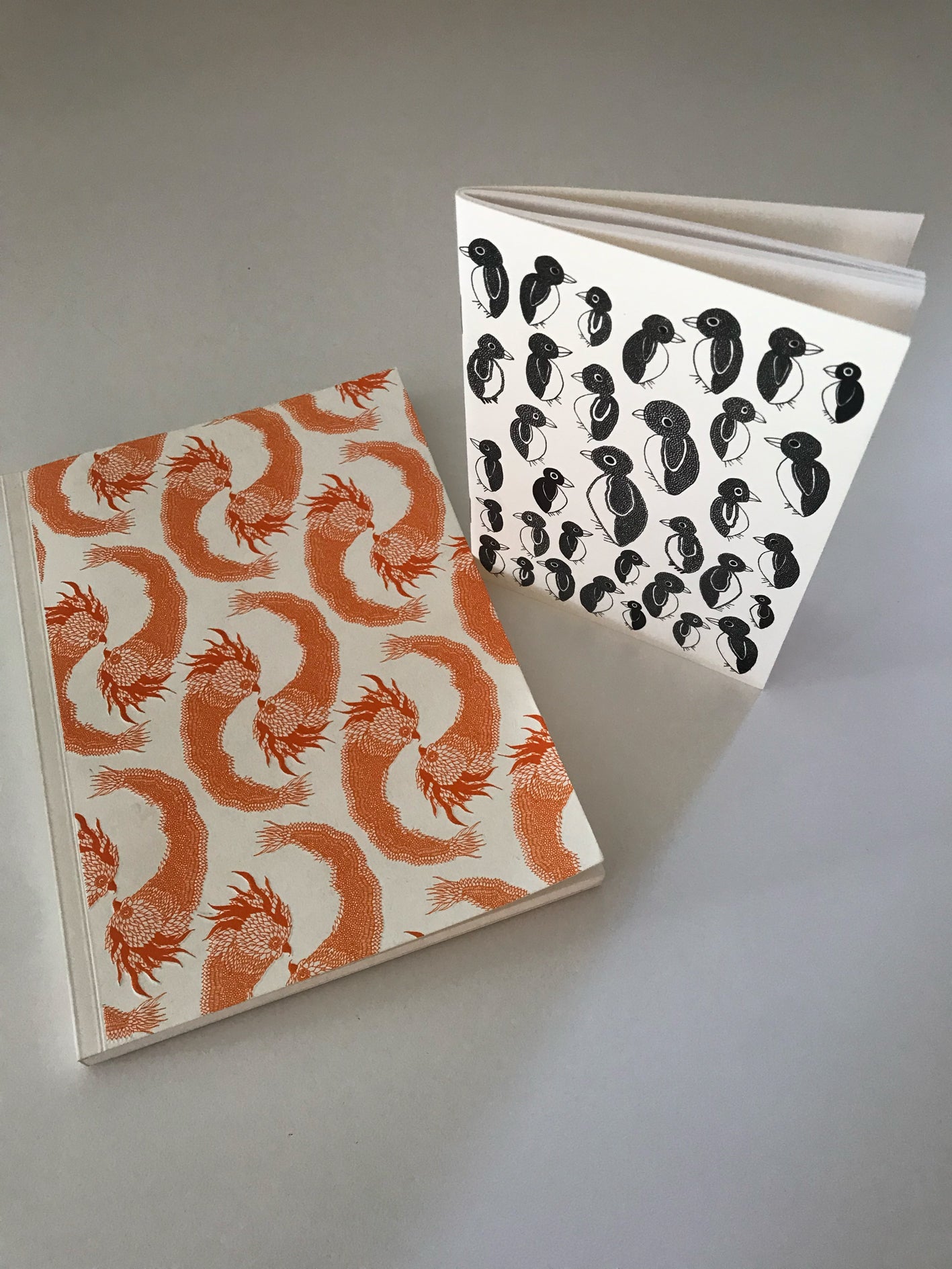 Carnet A5 + carnet A6