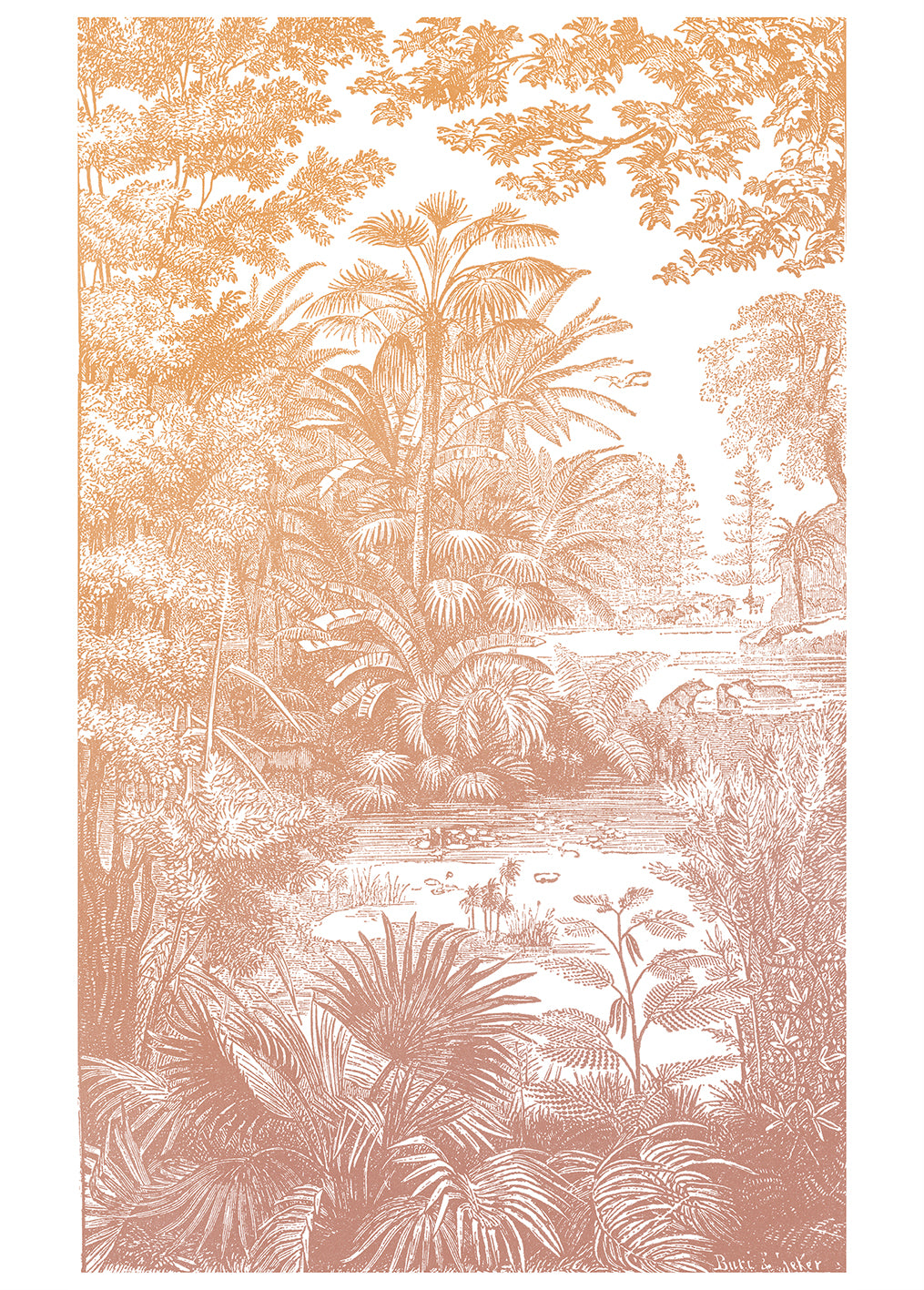 Papier peint panoramique Araucaria - Ocre Rose