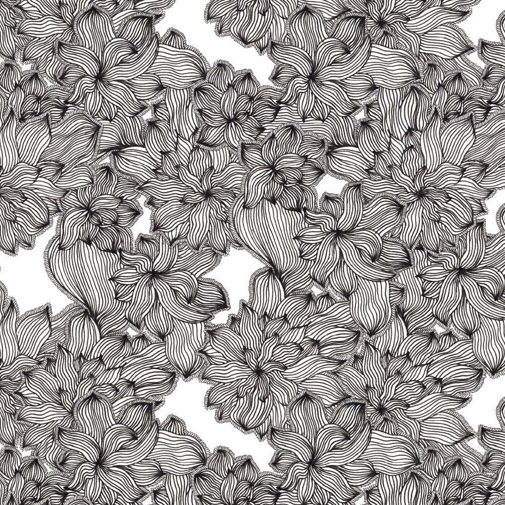 PP29-C05-NB zoom_49