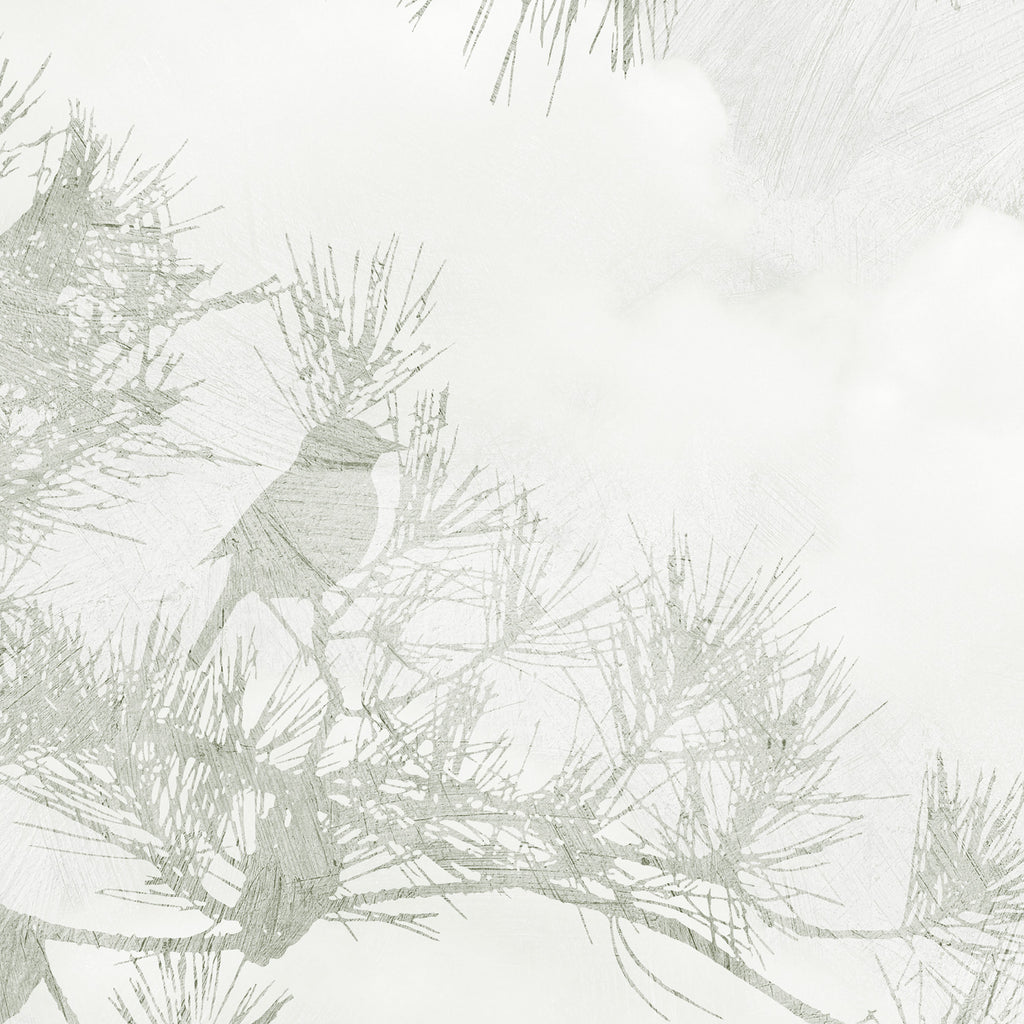 PDNTDL26-021 zoom_49